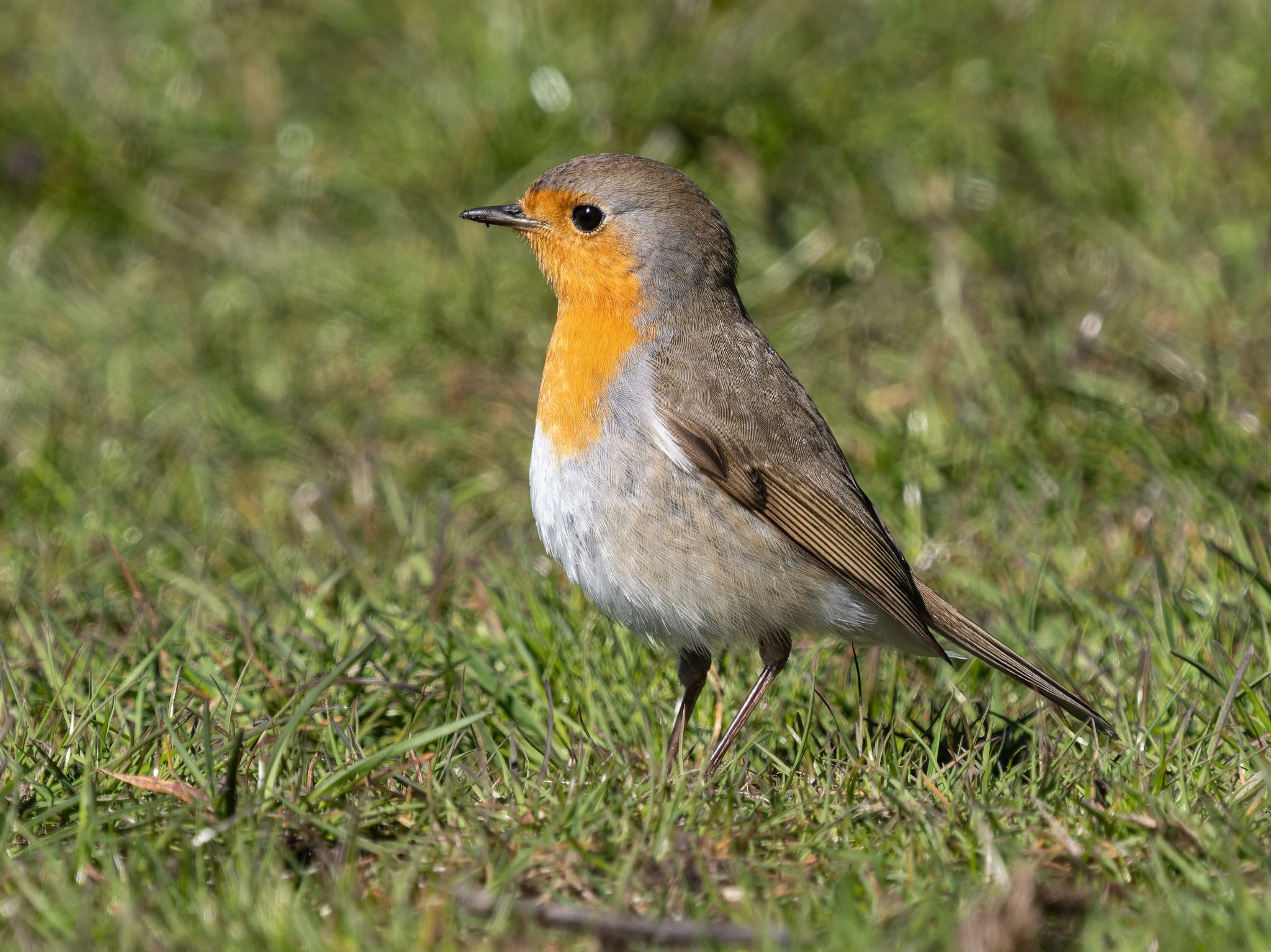 322 260424 1519 H  1HR4607 DxO DeepPRIME 3